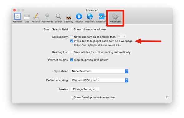 safari preferences